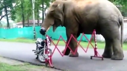 পানির ট্যাংক থেকে দুর্গন্ধ আসছিলো কিন্তু খুলে যা দেখতে পেল জানলে