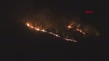 Gazipaşa'da orman yangını