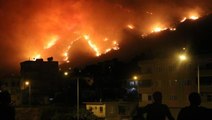 Türkiye'yi küle çeviren orman yangınları neden çıktı? Uzmanlar iki ihtimal üzerinde duruyor: İklim krizi ve sabotaj