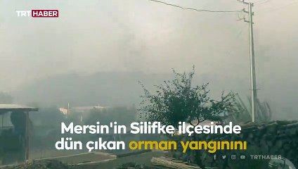 Silifke'deki orman yangınına müdahale sürüyor