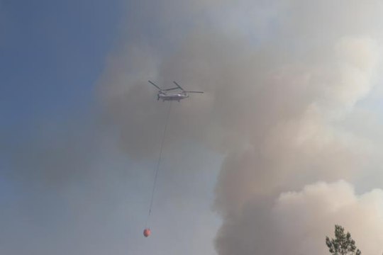 Adana Aladağ'daki orman yangınına müdahale ediliyor