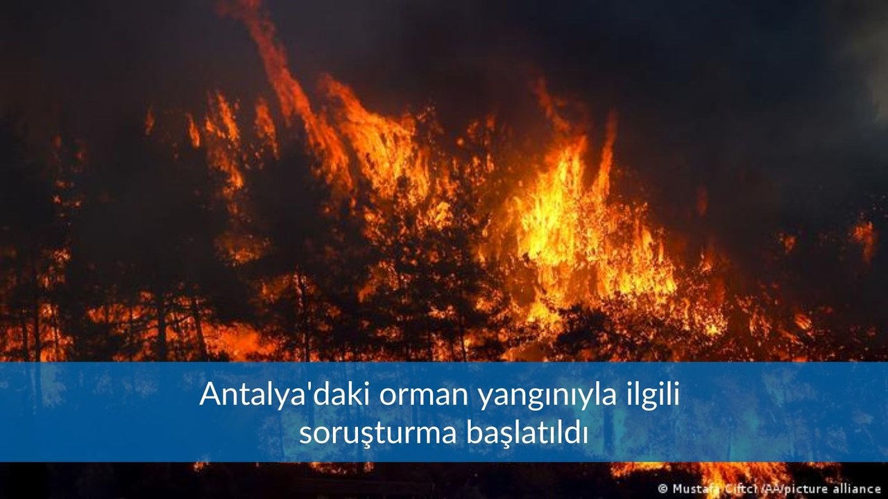 ORMANLAR NASIL YANDI?