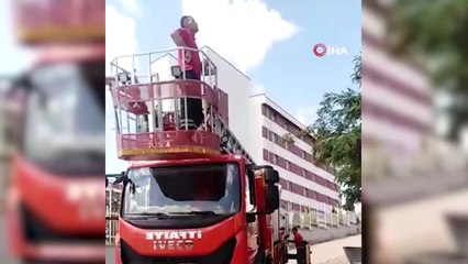 Telefon direğinde mahsur kalan kedi kurtarıldı