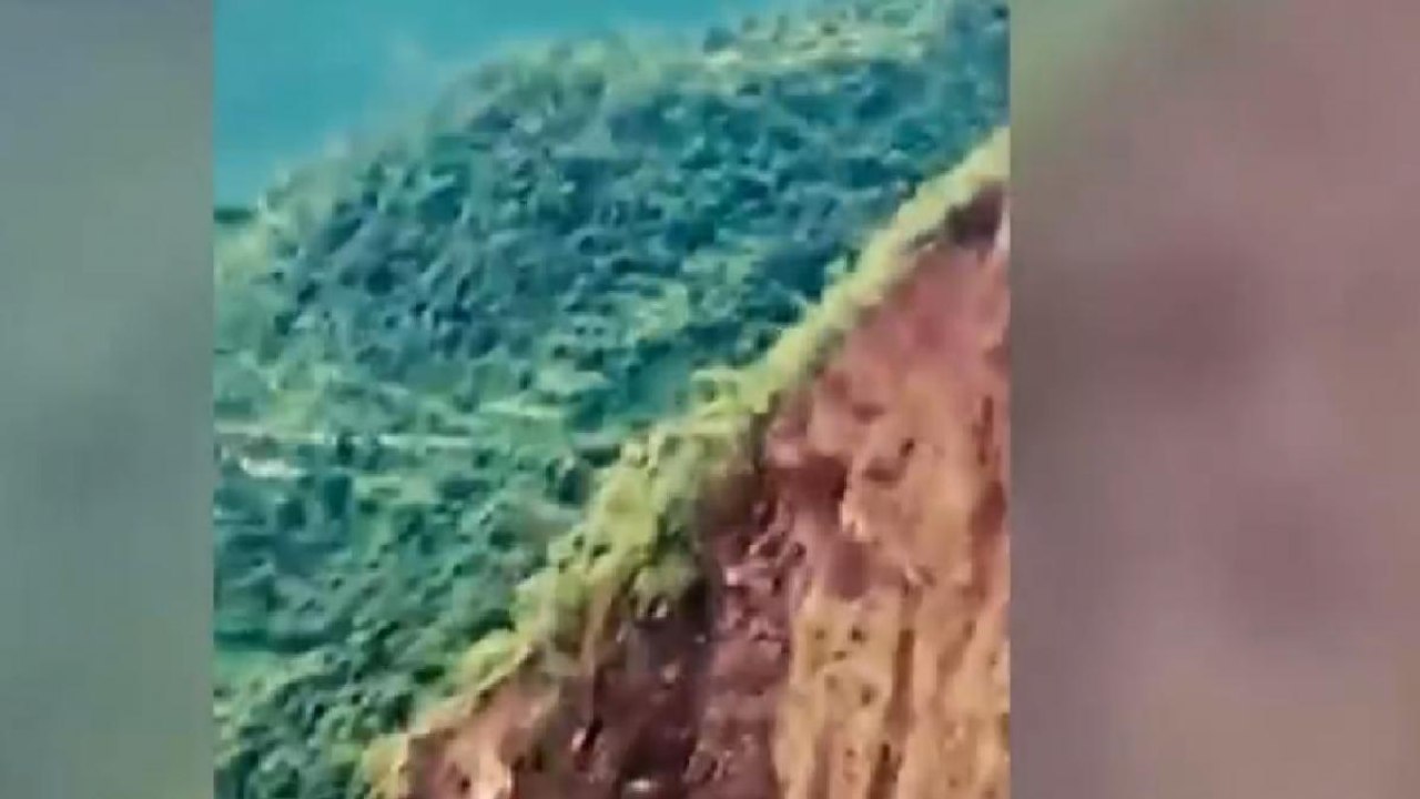 Himachal Pradesh: Massive landslide caught on camera