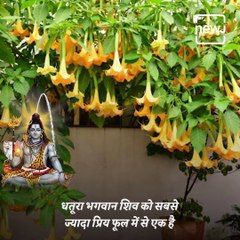 Offer These 5 Things To Lord Shiva In The Month Of Sawan