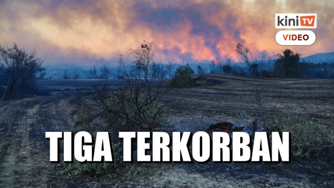 Tiga terkorban dalam kebakaran hutan di selatan Turki