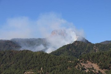 ADANA'DA 4 İLÇEDEKİ 6 NOKTADA ORMAN YANGINI SÜRÜYOR