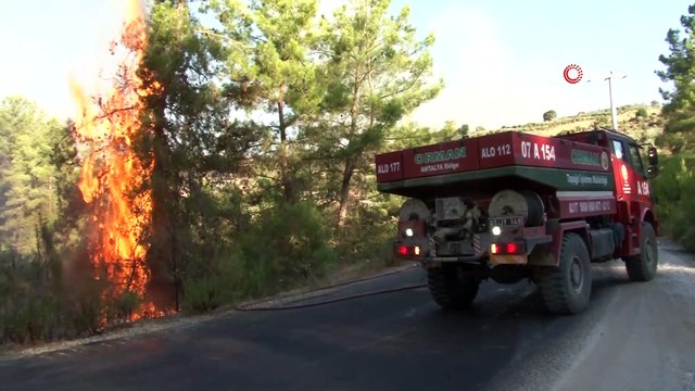 Ormanlık alandaki yangına havadan karadan müdahale sürüyor