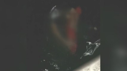 경주 감포항서 발 헛디뎌 항구에 빠진 40대 구조 / YTN