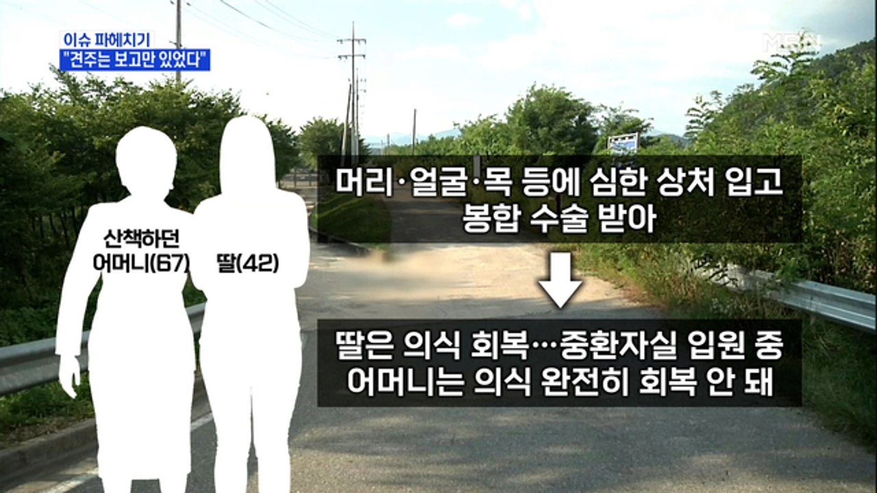 MBN 뉴스파이터-모녀 공격한 잡종견 6마리 견주, 과태료 120만 원