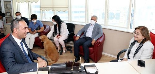 'GAZİANTEP, SONBAHARDA KÜLTÜR TURİZMİNİN MERKEZİNE DÖNÜŞECEK'