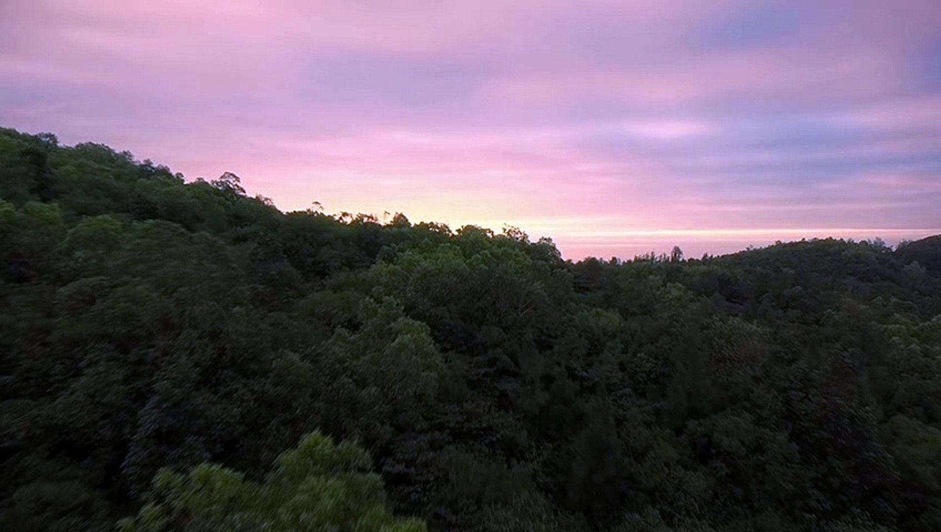 ⁣Evening nature relaxing music, calming music, meditation music, yoga music