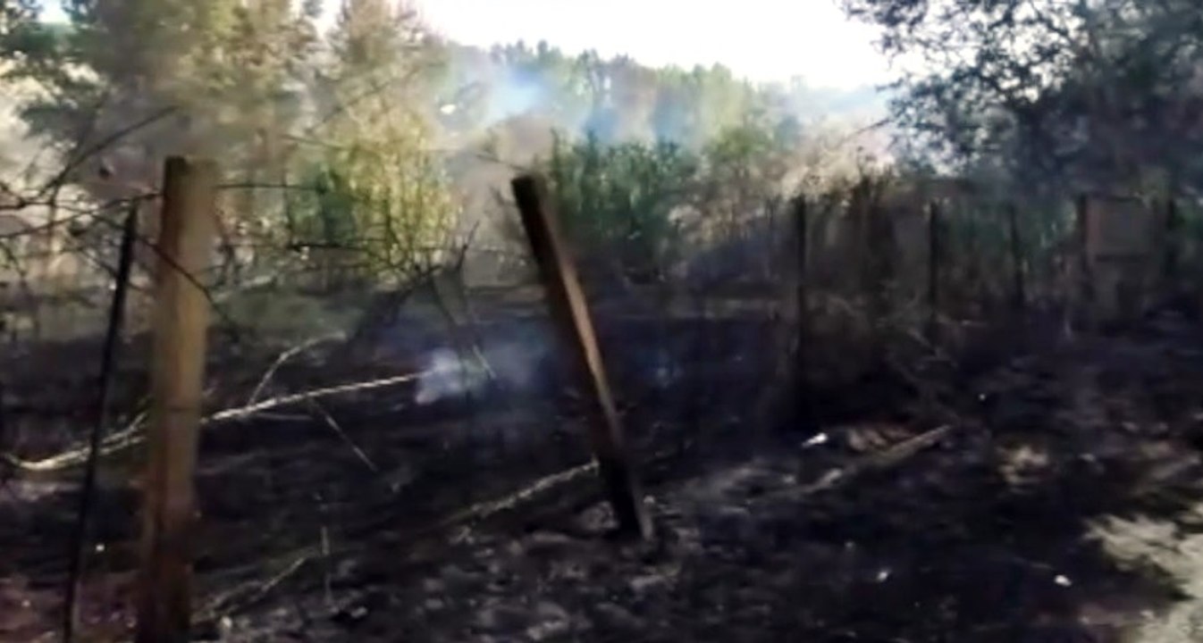 Incendi di vegetazione, 240 interventi dei Vigili del Fuoco in sole 24 ore (30.07.21)