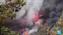 Au moins quatre morts dans des feux de forêt dans le sud de la Turquie