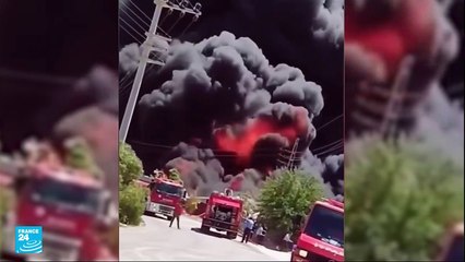 حرائق غابات في جنوب تركيا تسفر عن مقتل أربعة أشخاص