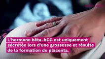 Taux bêta-hCG : comment savoir si j’attends des jumeaux ?