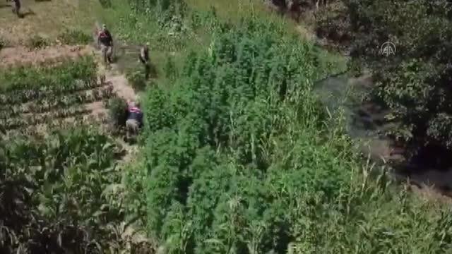 Son dakika haberleri... Uyuşturucu operasyonunda 1 kişi gözaltına alındı