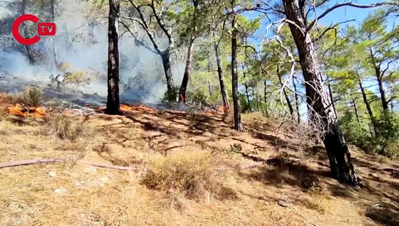 Hacı Bektaş Veli Festivali ertelendi