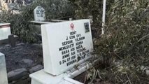 Son dakika haberleri... Orman yangınında hasar oluşan mezarlıkta şehit kabri ve Türk bayrakları zarar görmedi