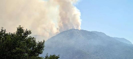 Son dakika haberleri | KÖYCEĞİZ'DEKİ MAKİLİK YANGININDA, SÖNDÜRME ÇALIŞMALARI SÜRÜYOR - EK