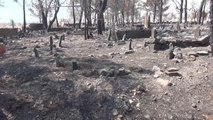 Orman yangınında zarar gören mezarlıkta şehit kabri ve Türk bayrağı yanmadı