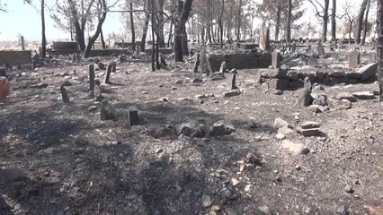 Orman yangınında zarar gören mezarlıkta şehit kabri ve Türk bayrağı yanmadı