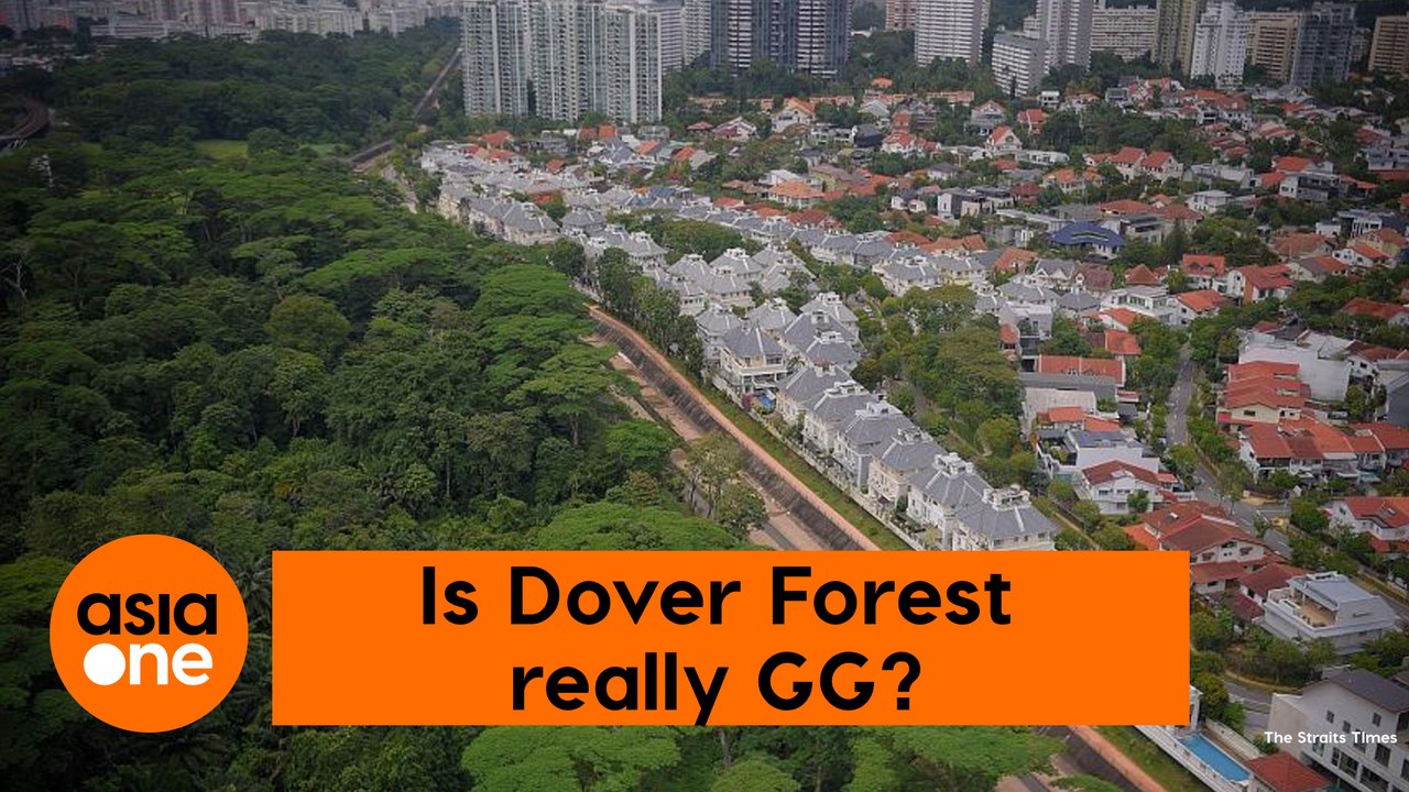 TLDR: What is the future of Dover Forest?