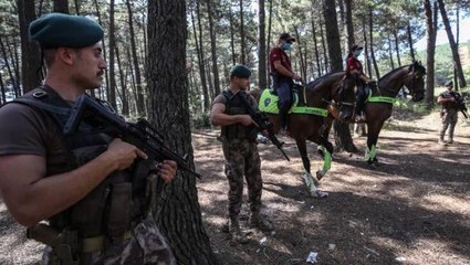 Son Dakika! Yangınla mücadele kapsamında İstanbul genelinde ormanlara giriş yasaklandı