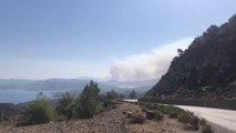 Marmaris'teki orman yangını (4)