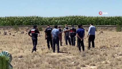 Çocuk cesedi diye gittiler, beze sarılı köpek çıktı