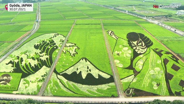 Japanese city transforms agricultural land into works of art