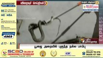 பூஜை அறையில் புகுந்த நல்ல பாம்பு