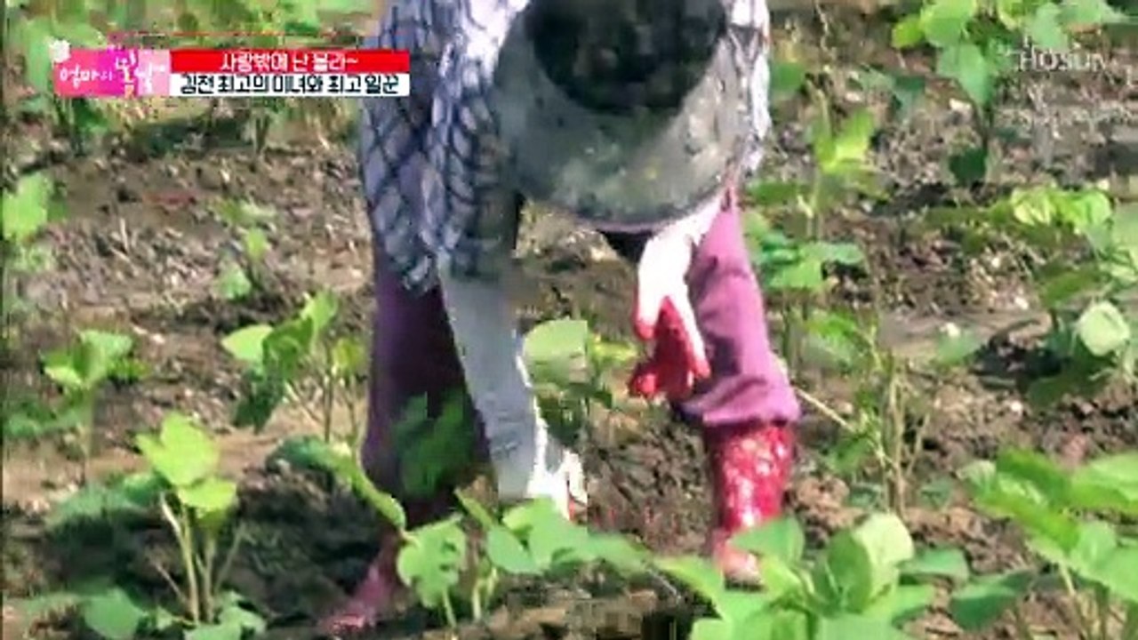 바로 옆에 있어도 서로의 걱정뿐인 사랑꾼 부부♥ TV CHOSUN 20210801 방송