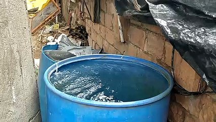 बूंद-बूंद पानी की कीमत, पानी का संचय कर रहा एक परिवार