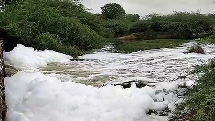 जोजरी नदी में दूषित पानी से बन रहे झाग