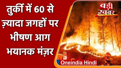 Burning Turkey: तुर्की में 60 से ज्यादा जंगलों में लगी भयानक आग, 4 की मौत | वनइंडिया हिंदी