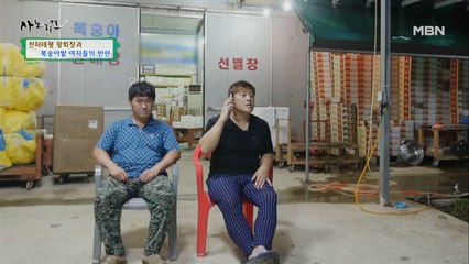 여자들의 화려한 일탈, 쓸쓸한 남편들