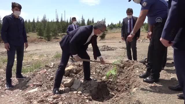 Kahramanmaraş Büyükşehir Belediyesinden yanan ormanlık alanların ağaçlandırılması için 10 bin fidan