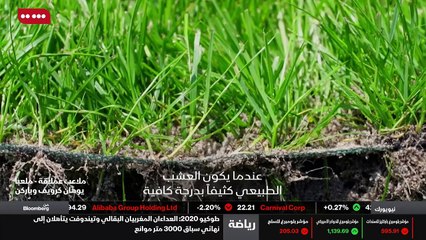 ...يكون رقيقا ، لذلك يجب أن يكون مثاليا...