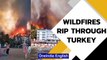Turkey battles wildfires | 3 dead, 58 hospitalised, tourists evacuate | Oneindia News
