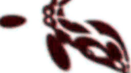 ¡Que lo contrate el Real Madrid!