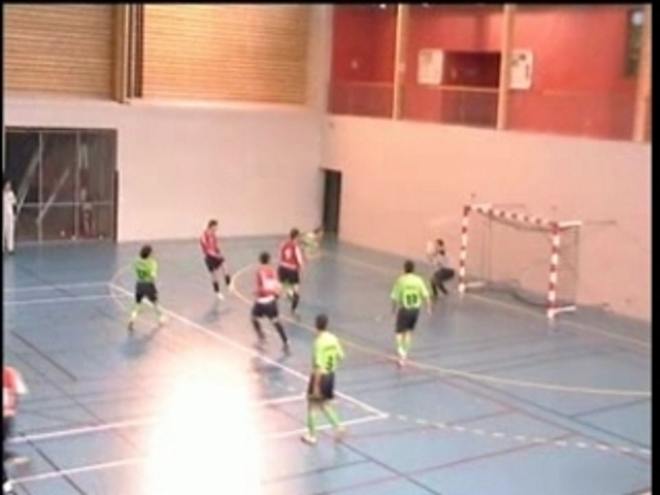 Futsal bison