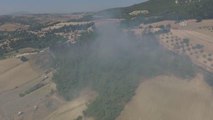 Son dakika haberi | Orman yangınında 10 dekar orman zarar gördü