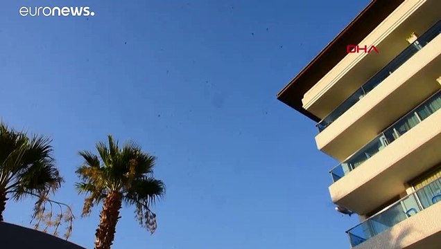 Condições climáticas extremas mantêm fogos florestais ativos em vários países