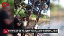 Bakırköy’de ağaçlık alanda korkutan yangın