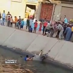 Ils sauvent une vache qui va se mettre à les charger