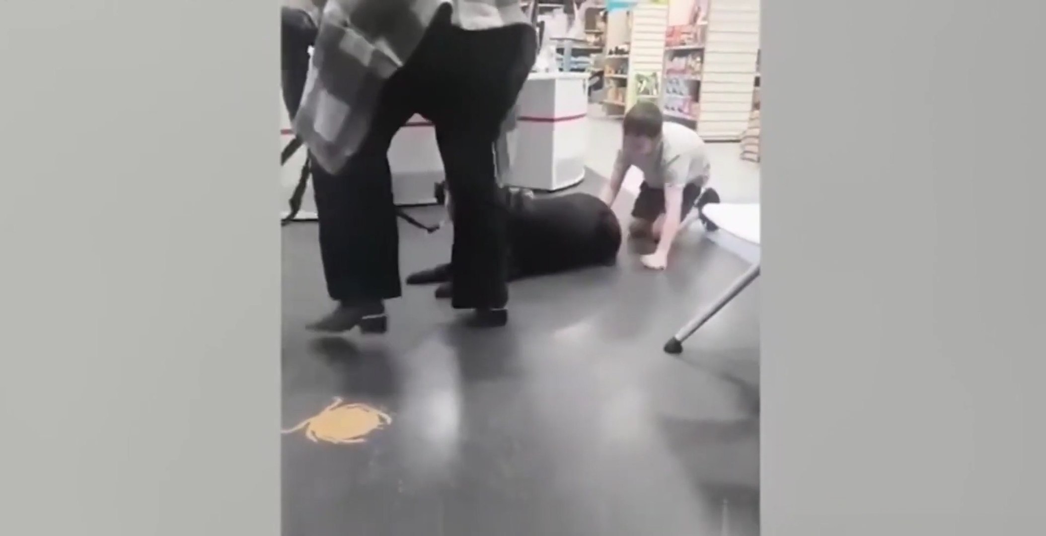 ⁣Funny Dog and Cat Fails !!!! Compilation