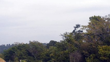 Boeing 737-800 PR-GTF na aproximação final antes de pousar em Manaus vindo de Fortaleza