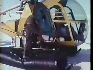 MUNDO ANIMAL -  O Urso Polar do Artico_(1970)