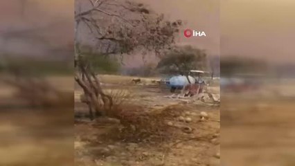 Yeni doğan oğlak ve kurtarabildiği hayvanları tesellisi oldu...Evini, arabasını ve hayvanlarını kaybetti, gözyaşları içinde böyle anlattı